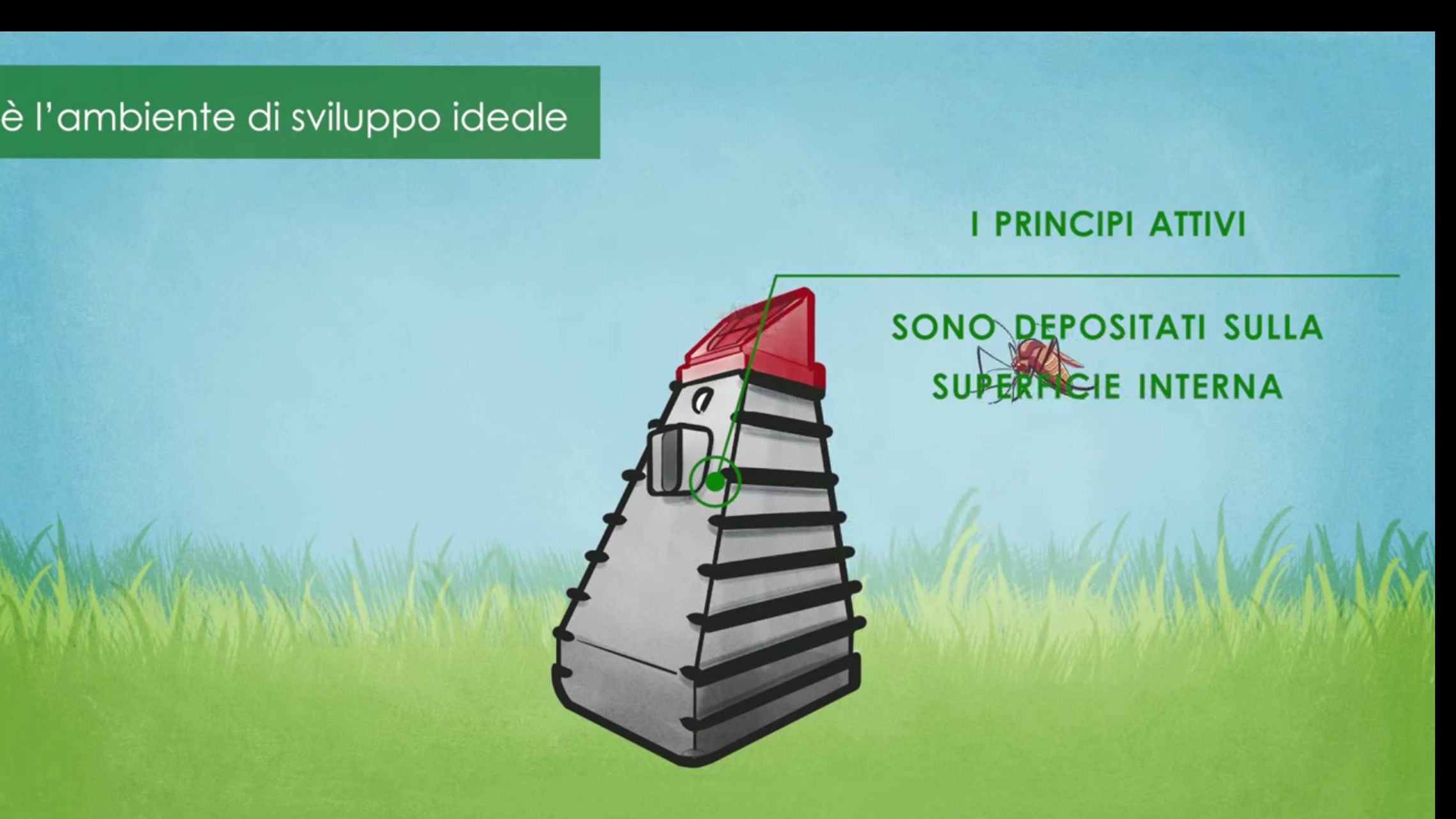 Tutti i video